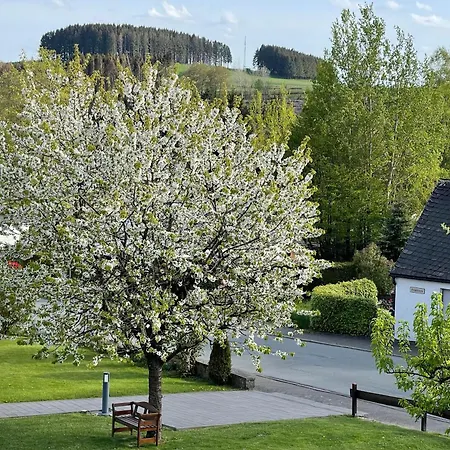 Sonnenheim *