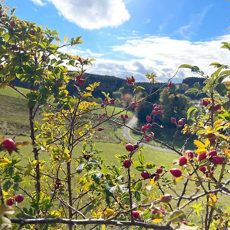 Sonnenheim * Winterberg