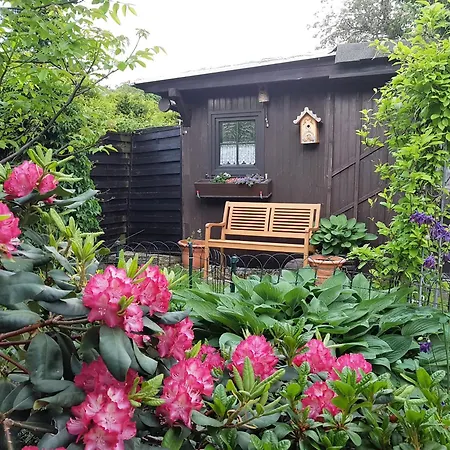 Sonnenheim Guest house *