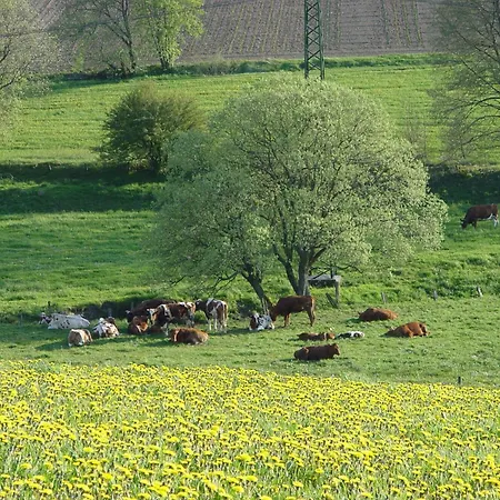 Gasthof Sonnenheim *